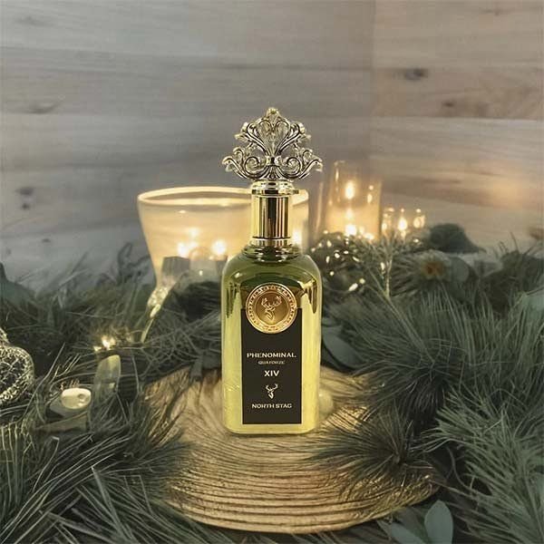 Paris Corner North Stag Phenominal Quatorze XIV Extrait De Parfum Unisex (100ml) - Image 3