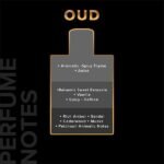 Villain Oud EDP For Men Perfume (100ml) - Image 7